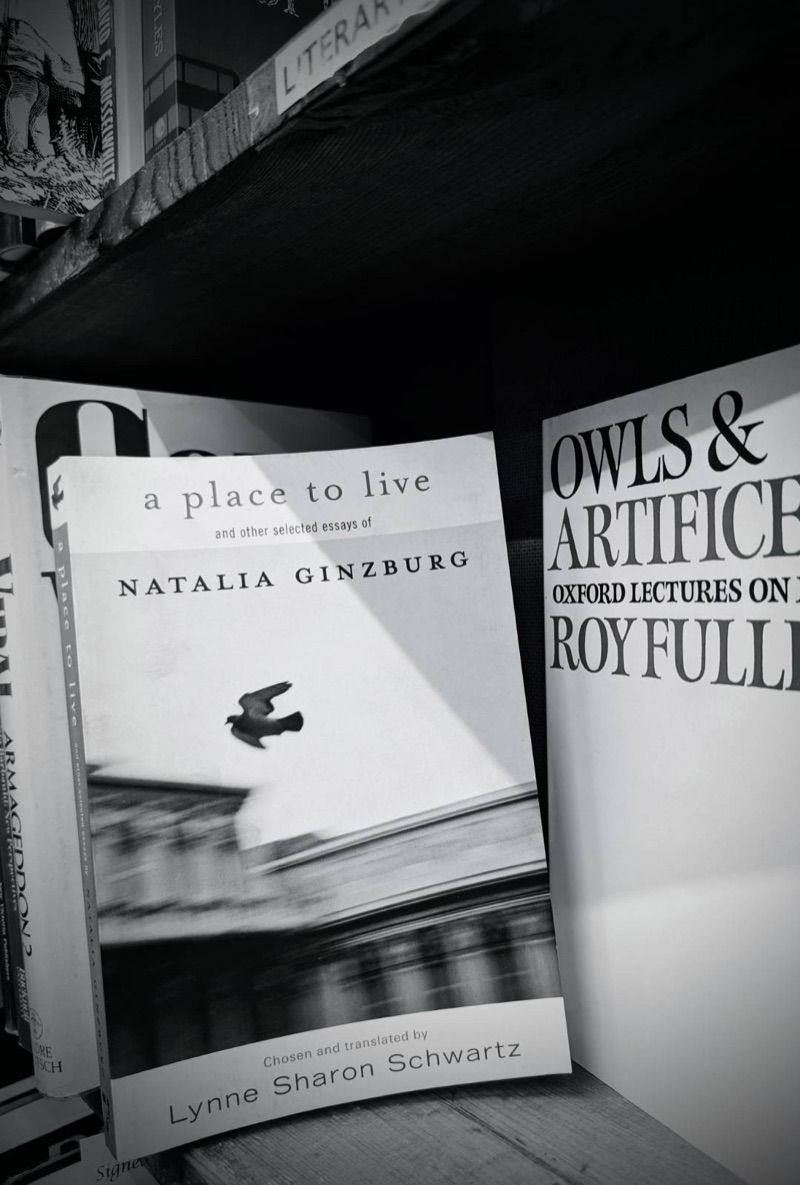A copy of A Place to Live by Natalia Ginzburg in a London bookshop.
